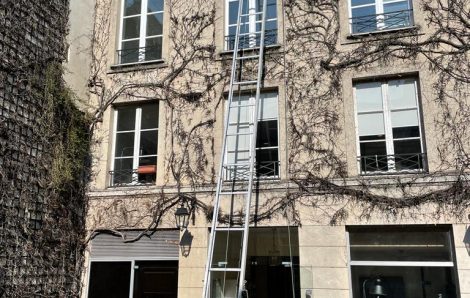 Echelle électrique Saint-Germain-en-Laye 78100